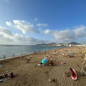 Sardine , Las Palmas de Gran Canaria España